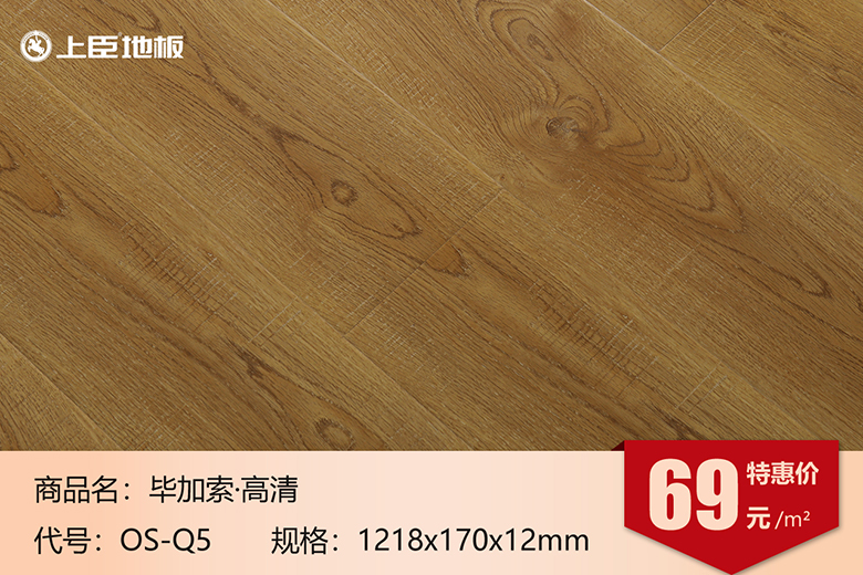 毕加索 OS-Q5.jpg