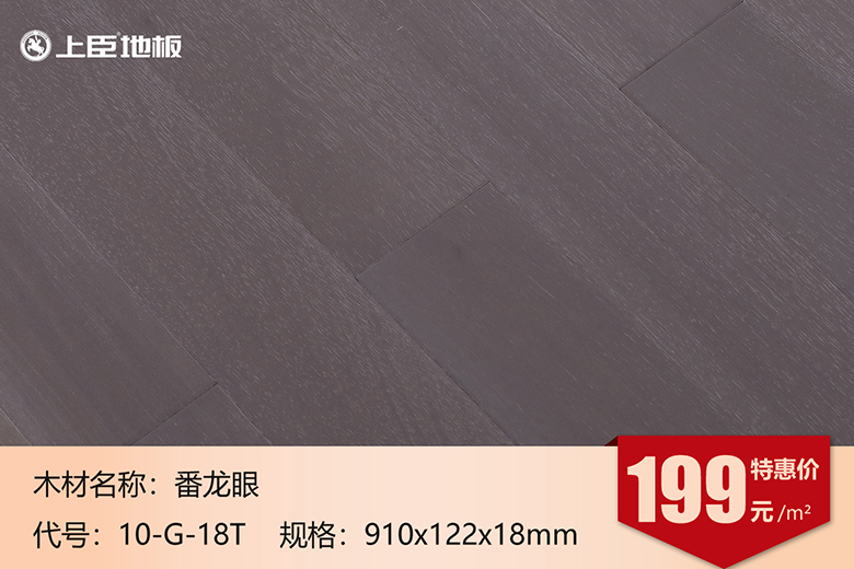 番龙眼 10-G-18T.jpg