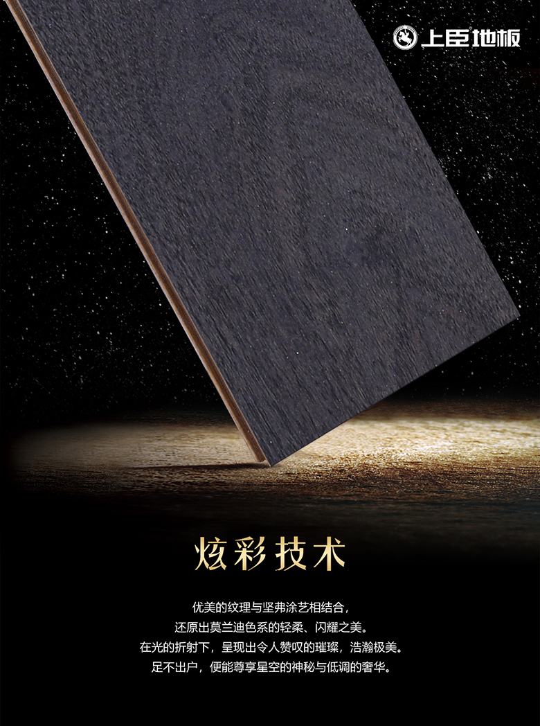 炫彩技术.jpg